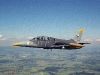 l39c-02